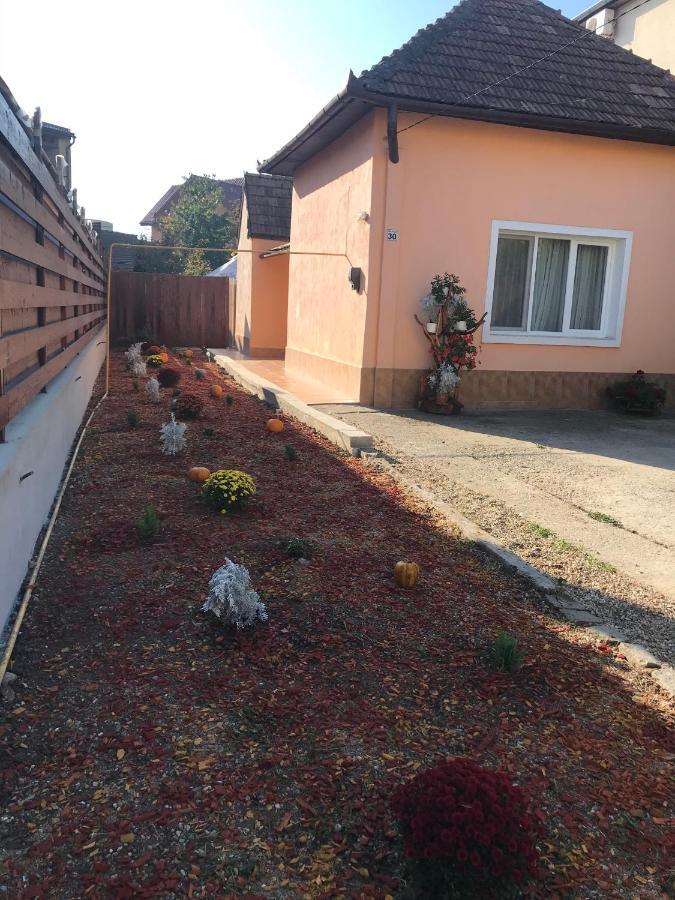 Permissive Villa Cluj-Napoca Exteriör bild